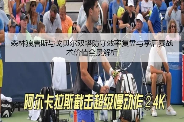 森林狼唐斯与戈贝尔双塔防守效率复盘与季后赛战术价值全景解析