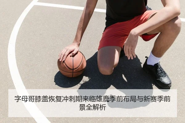 字母哥膝盖恢复冲刺期来临雄鹿季前布局与新赛季前景全解析